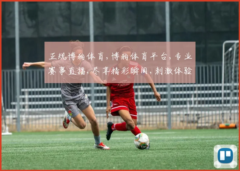 正规博狗体育,博狗体育平台,专业赛事直播,尽享精彩瞬间,刺激体验不容错过,一触即达